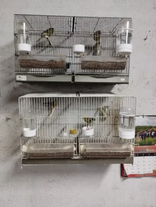 Jaulas para pájaros apilables