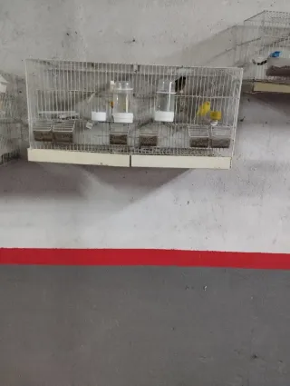 Jaulas para pájaros apilables