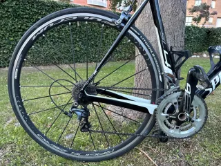 Specialized Tarmac Ultegra, Fulcrum Zero. Talla 56