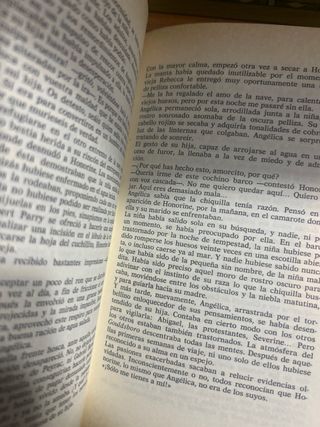 Angélica y su amor