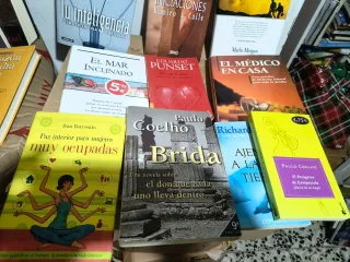 Lote de 13 Libros de Autoayuda y Novela