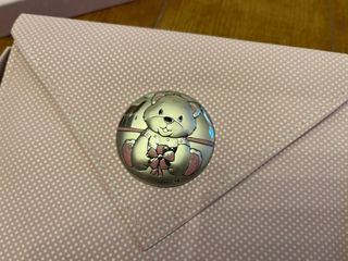 Libro de Nacimiento Oso Plata