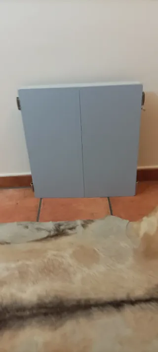 Diana Electrónica Artemis 520