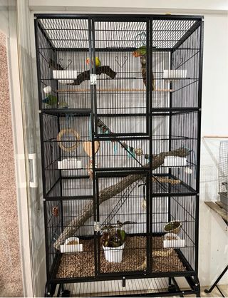 Jaula PawHut para pájaros 83x53x180