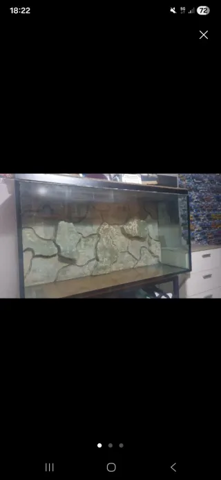 Acuario 350L con fondo rocoso