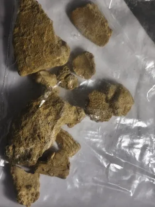 Monedas antiguas y lote arqueológico