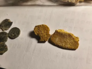 Monedas antiguas y lote arqueológico