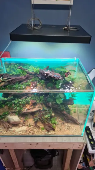 Luz Acuario Pro. Pantalla Skylight Hypherspot WIFI