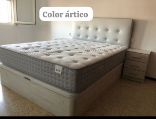 Canapes Canapes Canapes Canapes Canapes