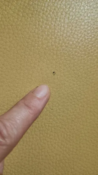 4 butacas + mesa Delaoliva salón o sala de espera