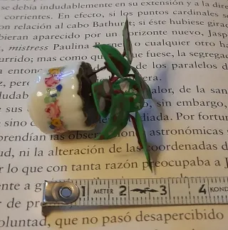 Pianta in vaso in miniatura per case delle bambole