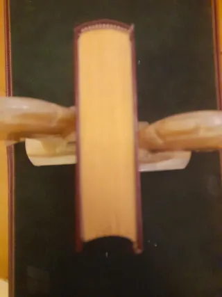 Cien años de Soledad. Gabriel Garcia Márquez.