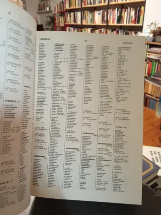 Diccionario ideologico de la Lengua española