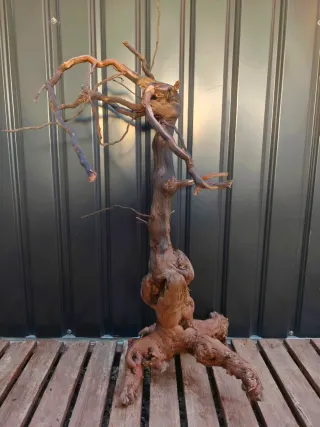 Raíz/tronco Decoración acuario OFERTA SOLO HOY!