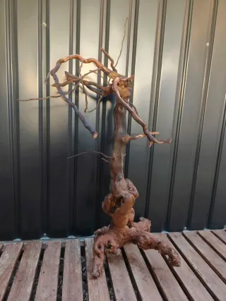 Raíz/tronco Decoración acuario OFERTA SOLO HOY!