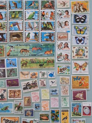 Set oltre 300 francobolli Mondo tema animali