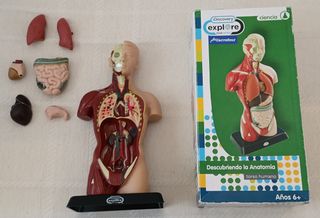 Juego Científico Descubriendo la Anatomía