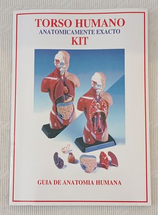 Juego Científico Descubriendo la Anatomía