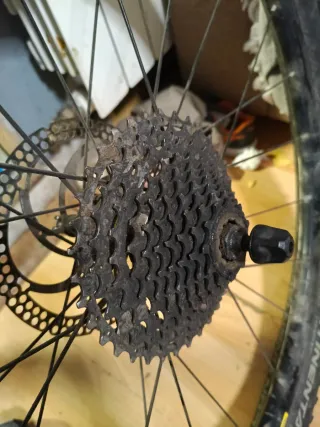 Rueda trasera bici 29 Continental