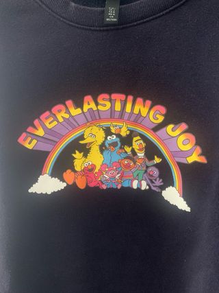 Sudadera Sesame Street Everlasting Joy Talla L