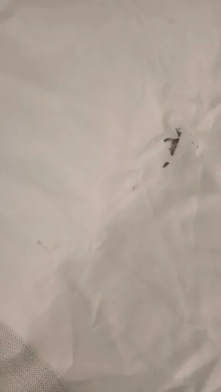 Camiseta Real Madrid Raúl 7 Oficial