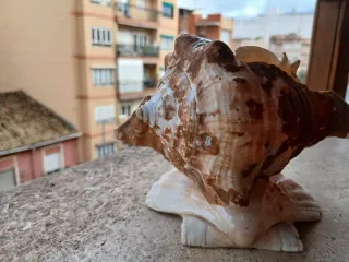 Belén artesanal de nácar y concha marina.