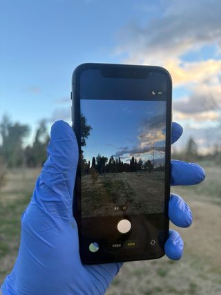 iPhone 11 64GB Negro