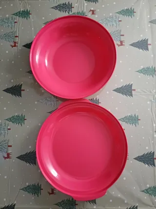 Plato Tupperware Aloha Rosa