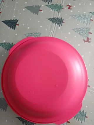 Plato Tupperware Aloha Rosa