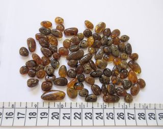 Ambra Baltica Naturale Marrone 4-17mm