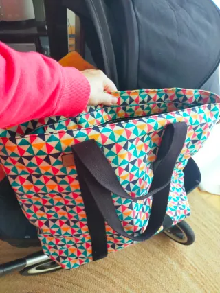 Carrito Bugaboo Camaleón