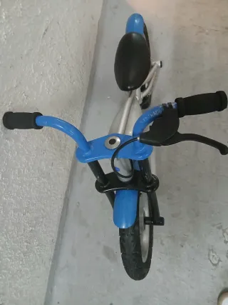 Bicicleta de equilibrio evolutiva