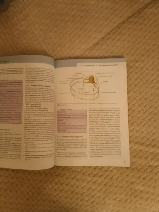 Sobotta. Texto de anatomía