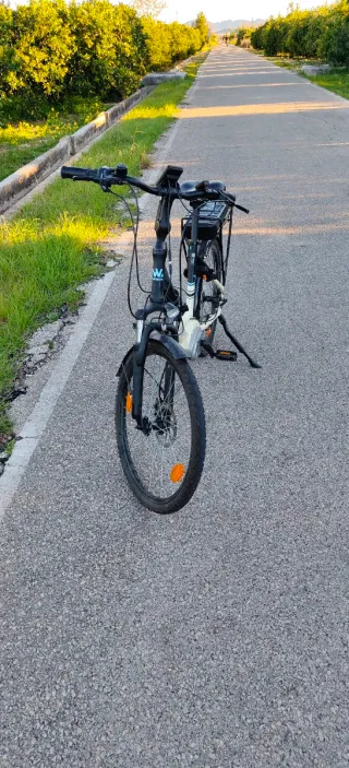 Bicicleta Wayscral Eléctrica