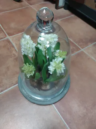 Cúpula de cristal con flores blancas