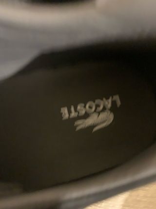 Tênis Lacoste Cinza Masculino