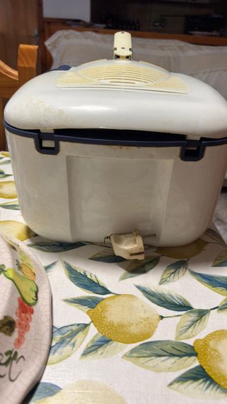 Freidora de aceite con cesta