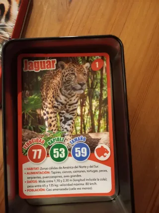 Hit Cards Depredadores - 36 Cartas