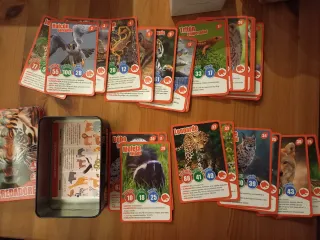 Hit Cards Depredadores - 36 Cartas