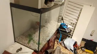 Terrario Acuario Decorado