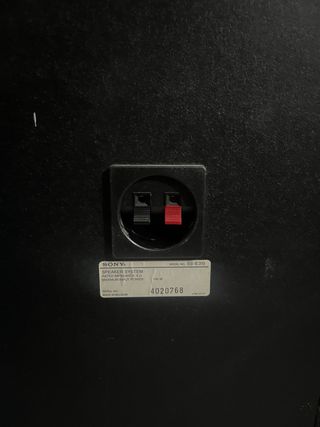 Altavoz Sony SS-E315 Negro