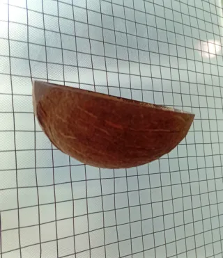 Pack juguetes para agapornis/periquitos