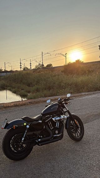 Harley Davidson 883 Iron
