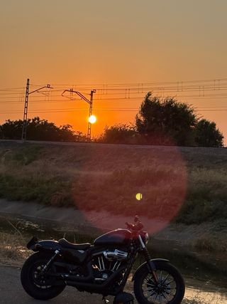 Harley Davidson 883 Iron