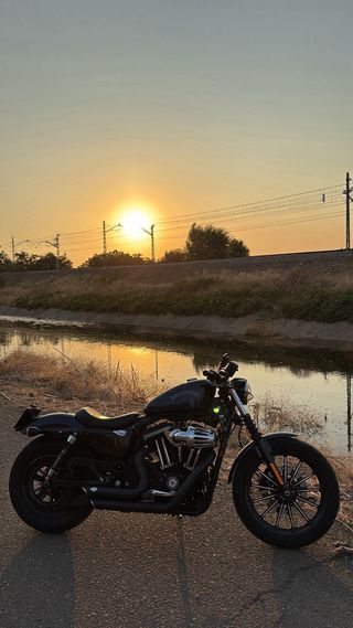 Harley Davidson 883 Iron