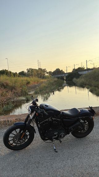 Harley Davidson 883 Iron