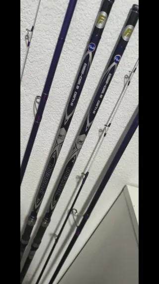 Pareja de cañas de surfcasting