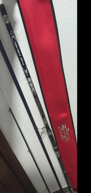 Pareja de cañas de surfcasting