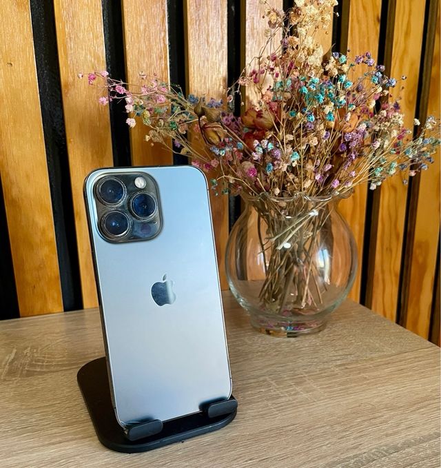 iPhone 13 Pro 256GB Gris impoluto