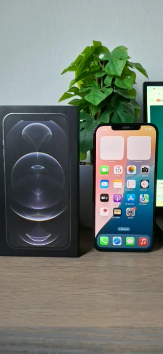 iPhone 12 Pro Max 256GB